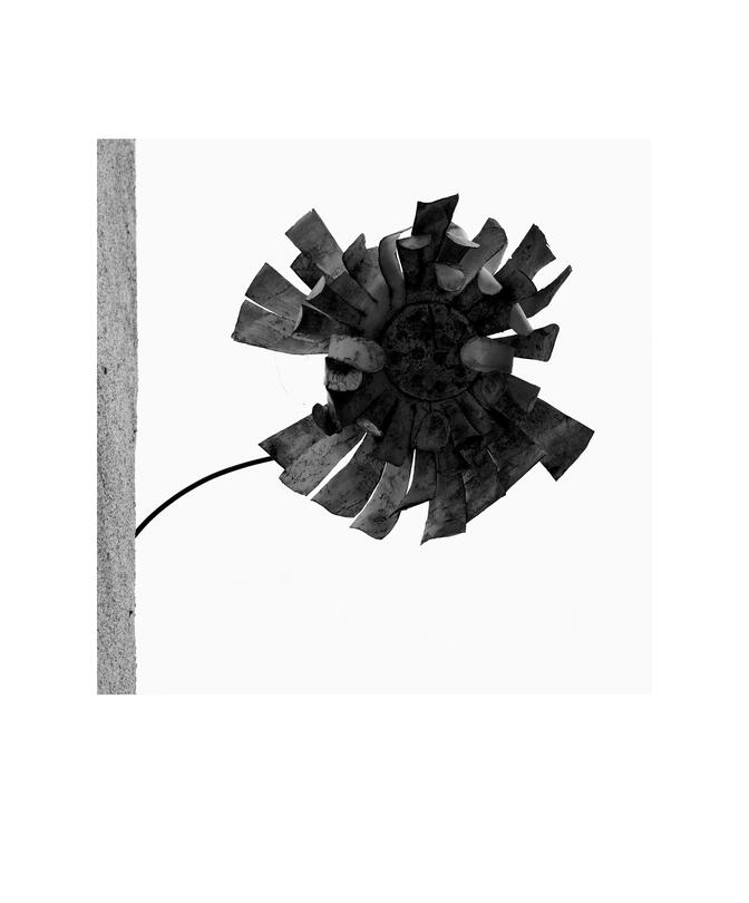 Black and white photograph by Bradley Cummings titled LOOKING UP #22827, St Kilda, 2025