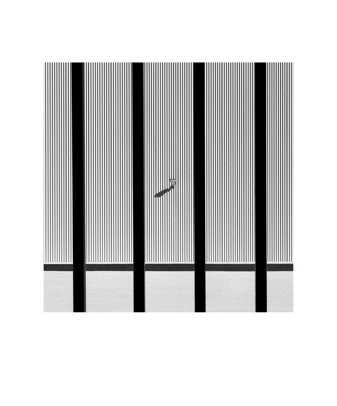 Black and white photograph by Bradley Cummings titled INDUSTRIAL WALL AND FENCE, Canberra, 2026