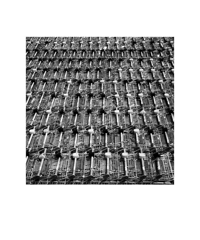 Black and white photograph by Bradley Cummings titled SUPERMARKET TROLLEYS, Canberra, 2025.